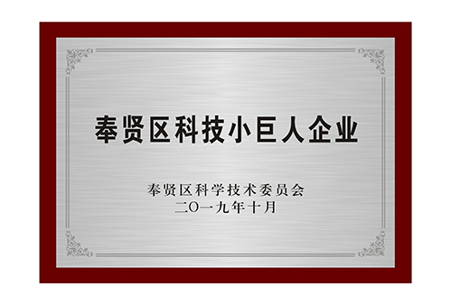 
上海市奉賢區科技小巨人企業
